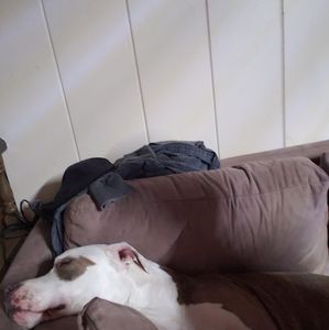 Meet your Posher, Peter